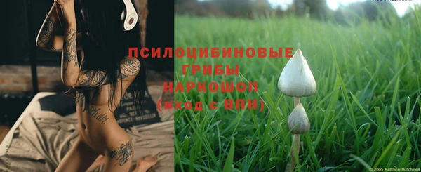ГАЛЛЮЦИНОГЕННЫЕ ГРИБЫ Армянск